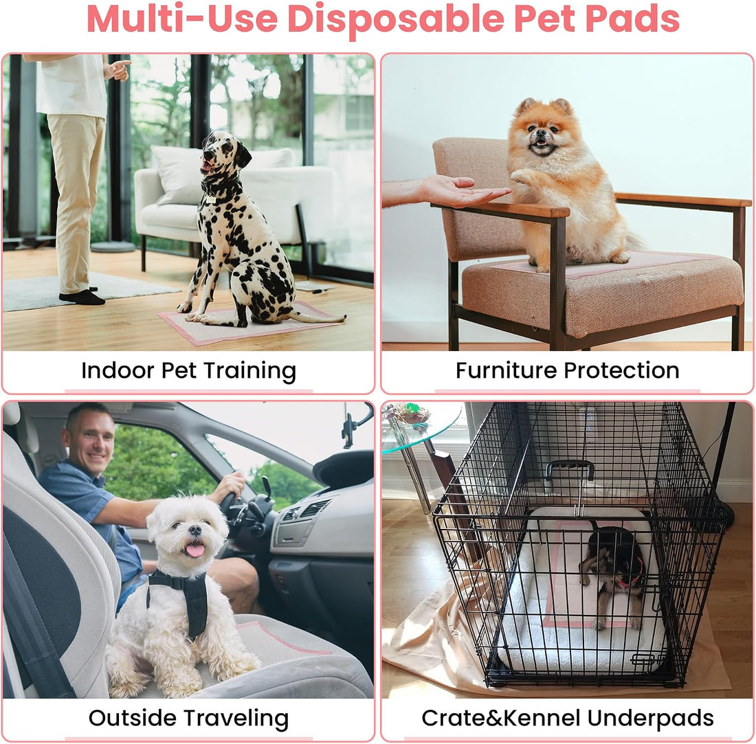 Pet Toilet Training Pads 100Count Disposable Puppy Pee Pads 18" x 13"