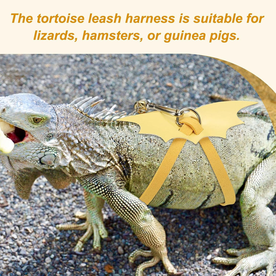 Tortoise Leash Harness, Adjustable Turtle Harness Chest Collar Pet
