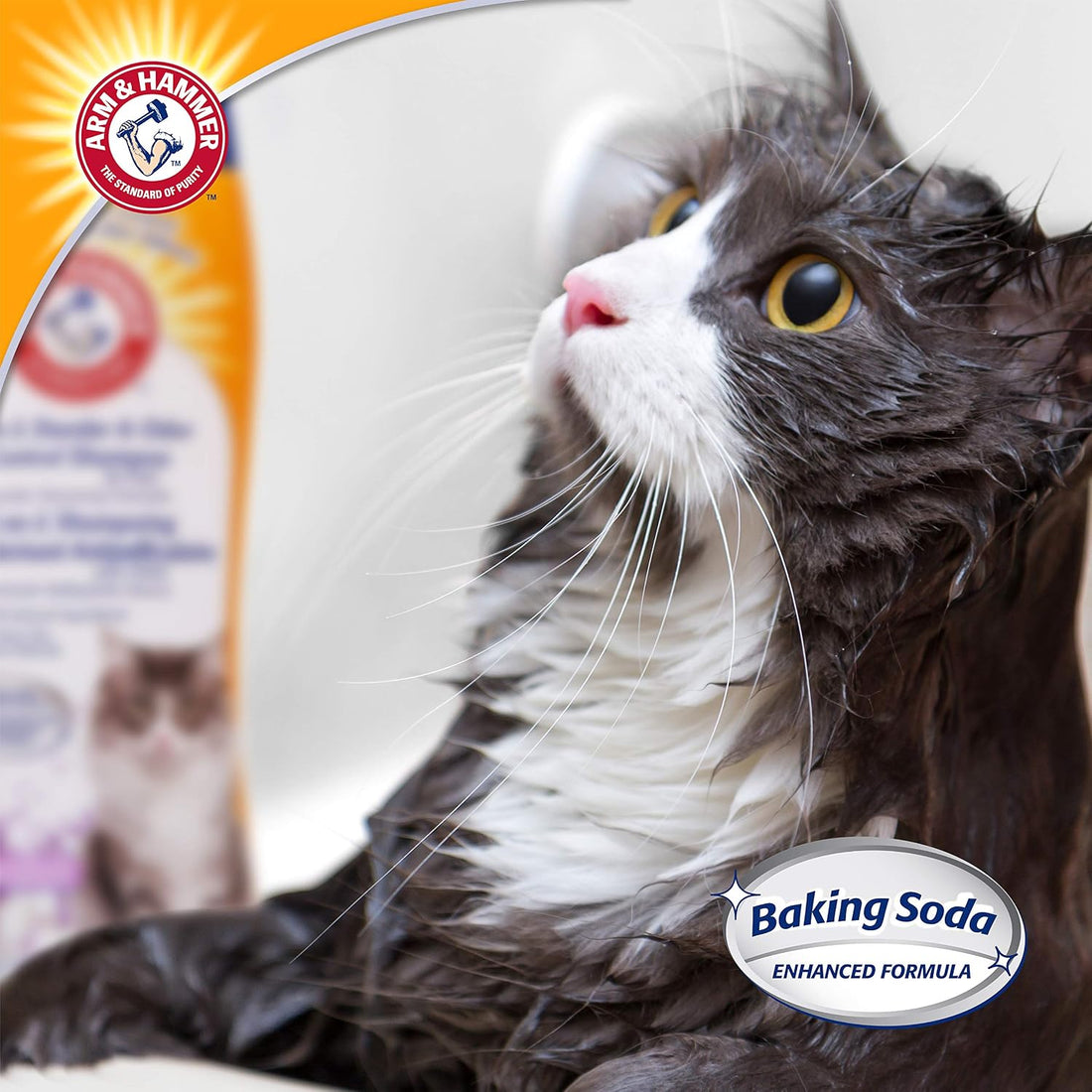Arm & Hammer 2-in-1 Deodorizing & Dander Reducing Shampoo for Cats