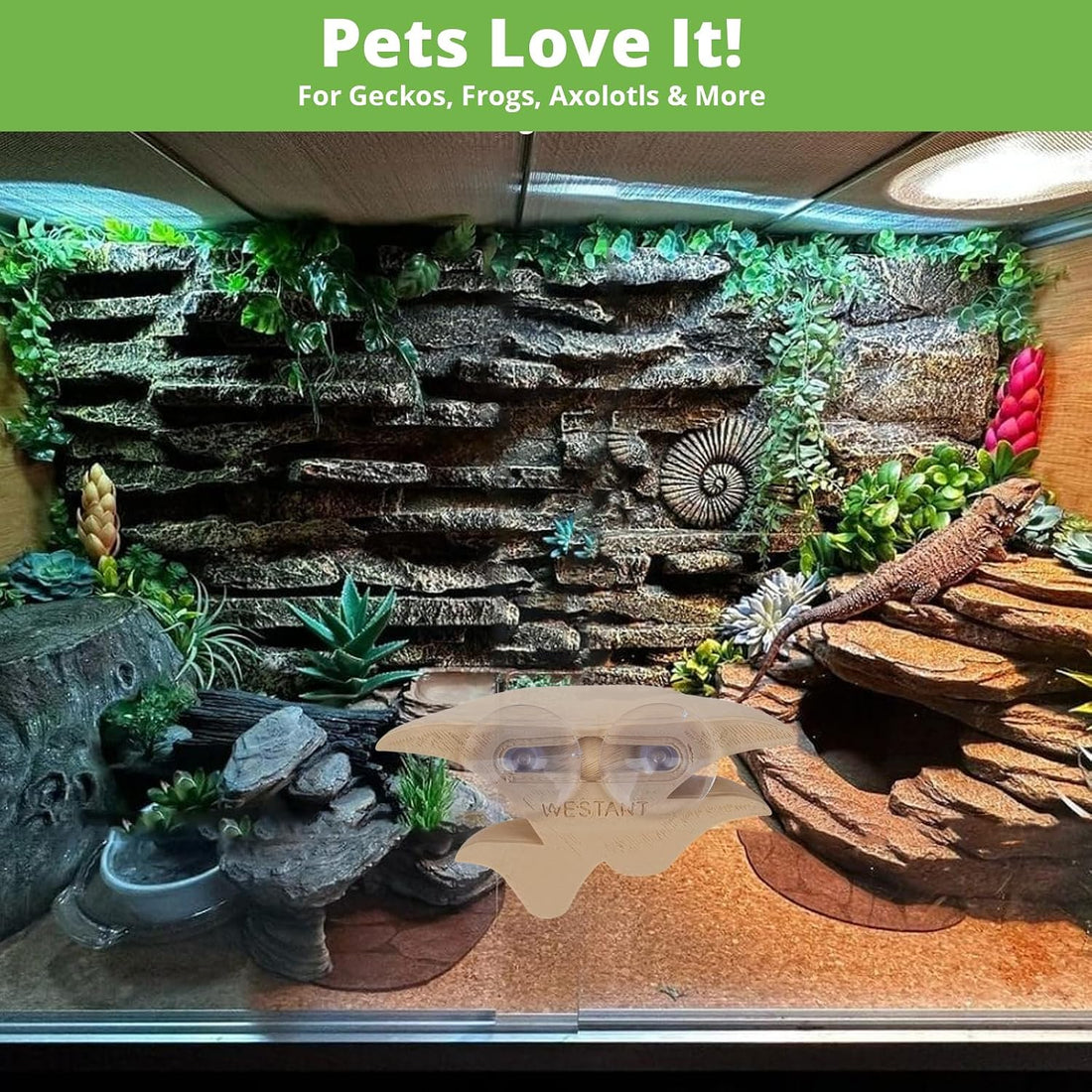 Westant Mushroom Decor for Reptile Tank, Forest, Trio