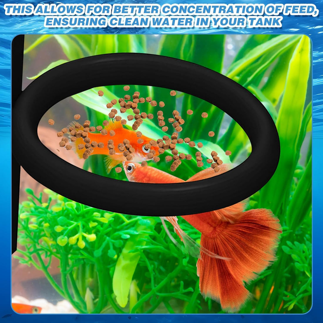 Magnetic Fish Feeding Ring, Automatic Turtle Feeder for Aquarium