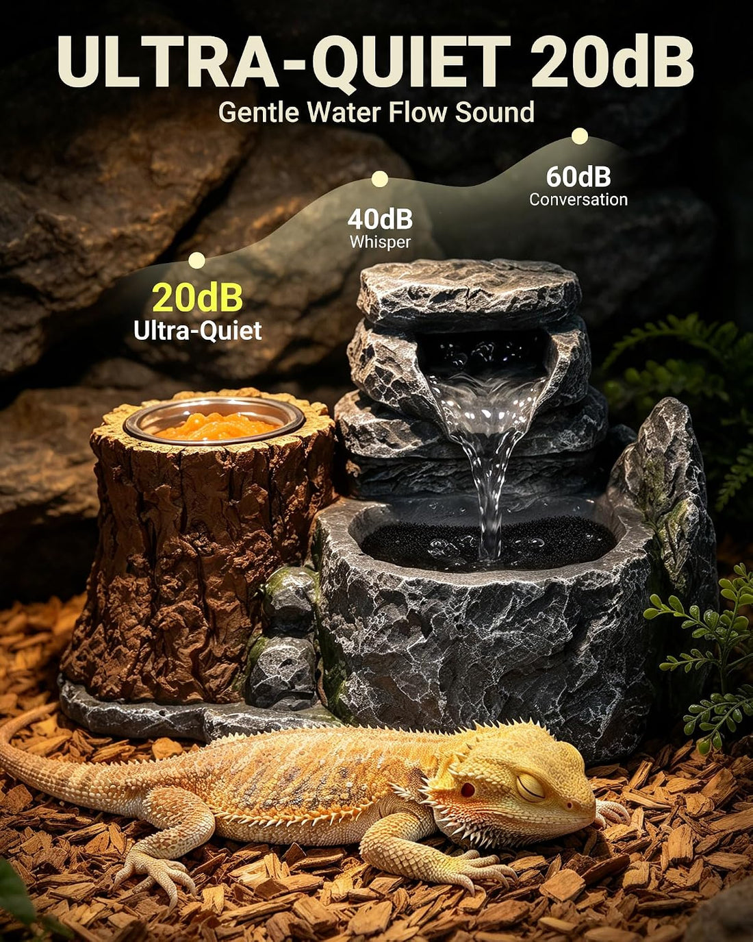 Bearded Dragon Water Fountain with 2 Stainless Steel Feeding Bowls