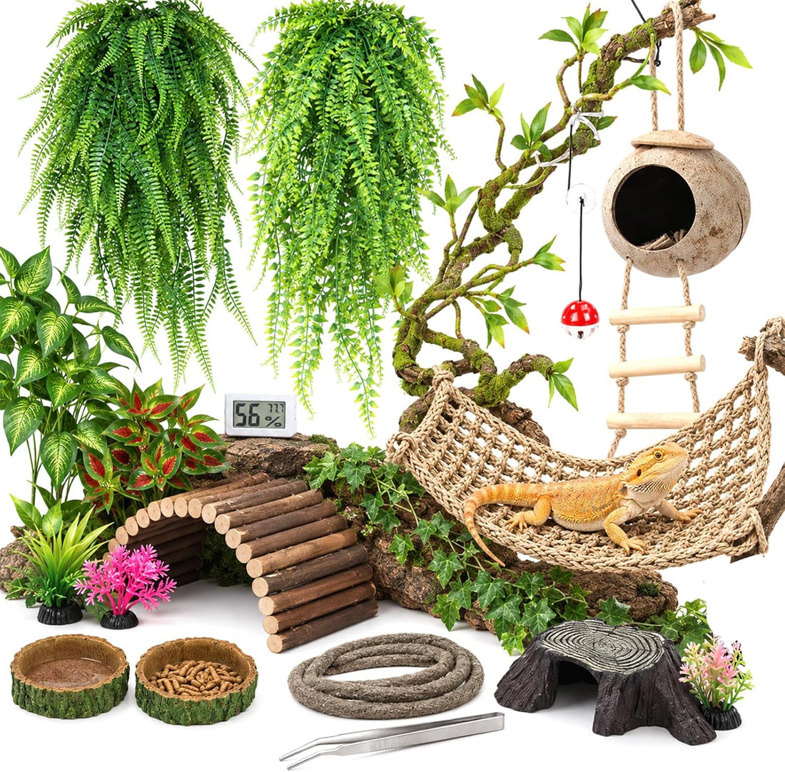 Reptile Plants for Bearded Dragon Tank Accessories