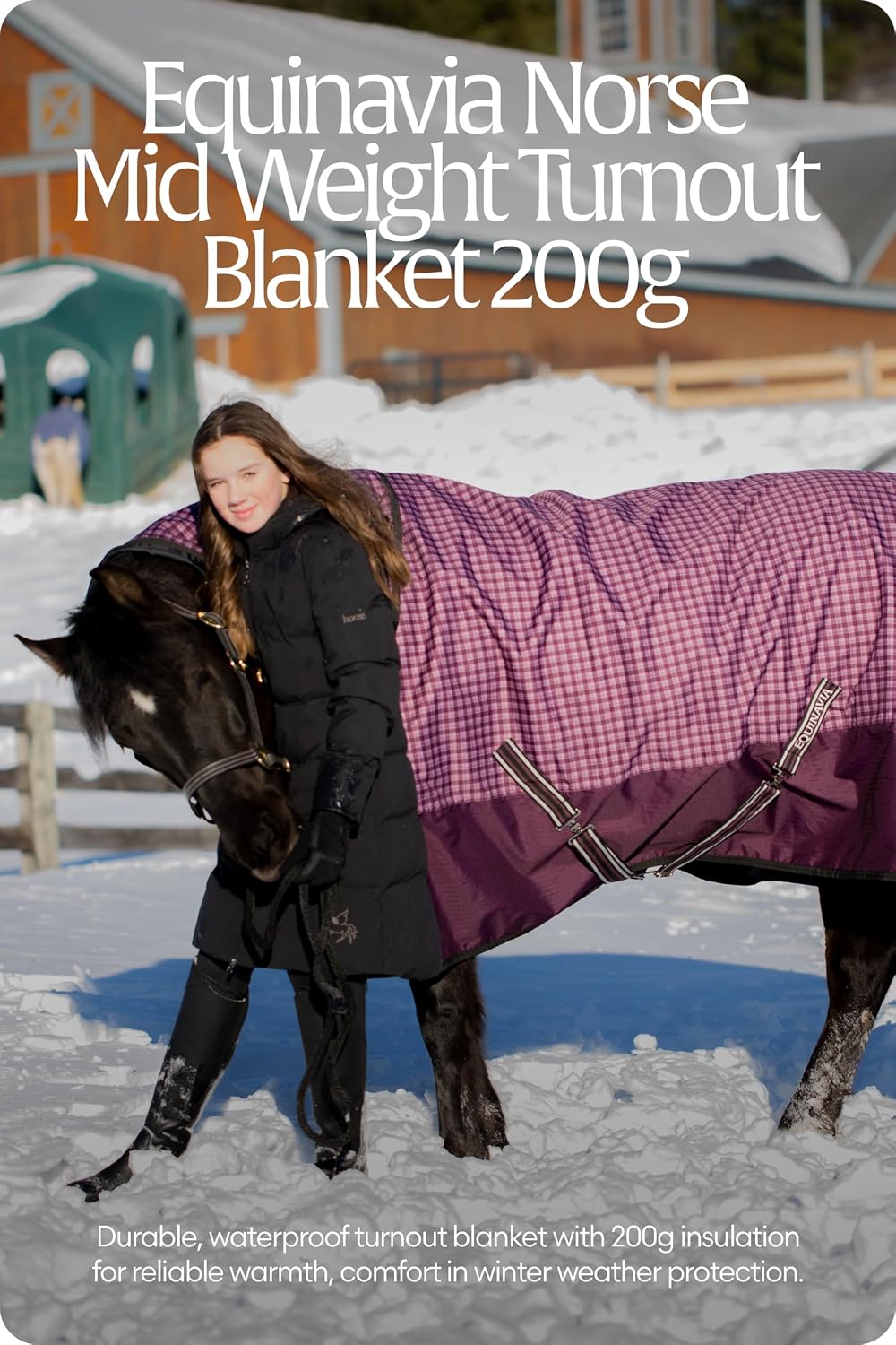 Equinavia Norse 200g Medium Weight Horse Blanket