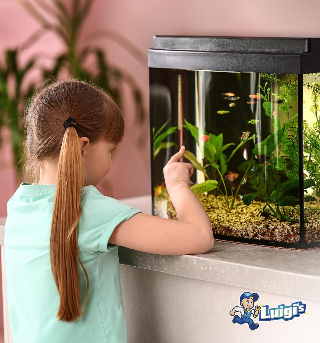 Luigi's Fish Tank Cleaner - Turtle Tank Accessories