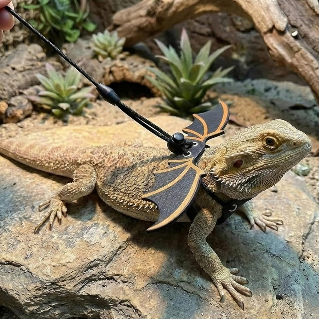 Bearded Dragon Carrier Sling & Leash Harness Set