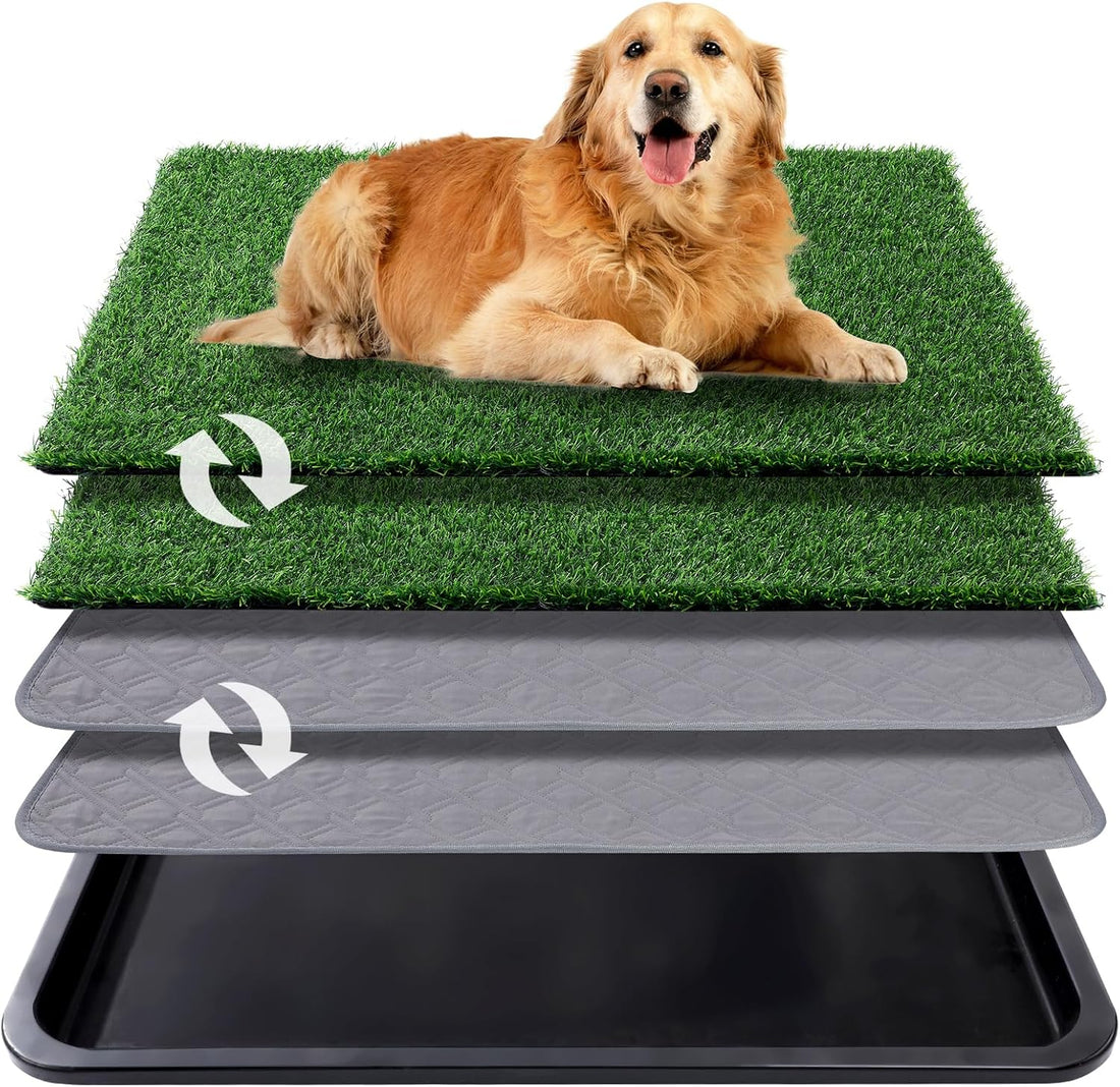 Dog Grass Pad with Tray, 30 x 20 in, 3-Layer Potty with 2 Grass Pads