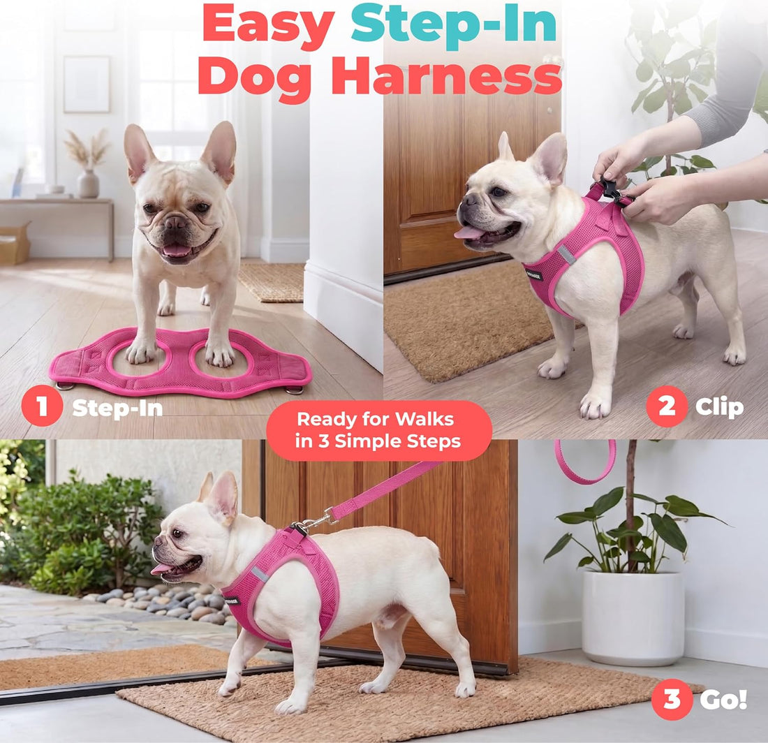 Voyager Step-in Air Dog Vest Harness - Fuchsia, Small