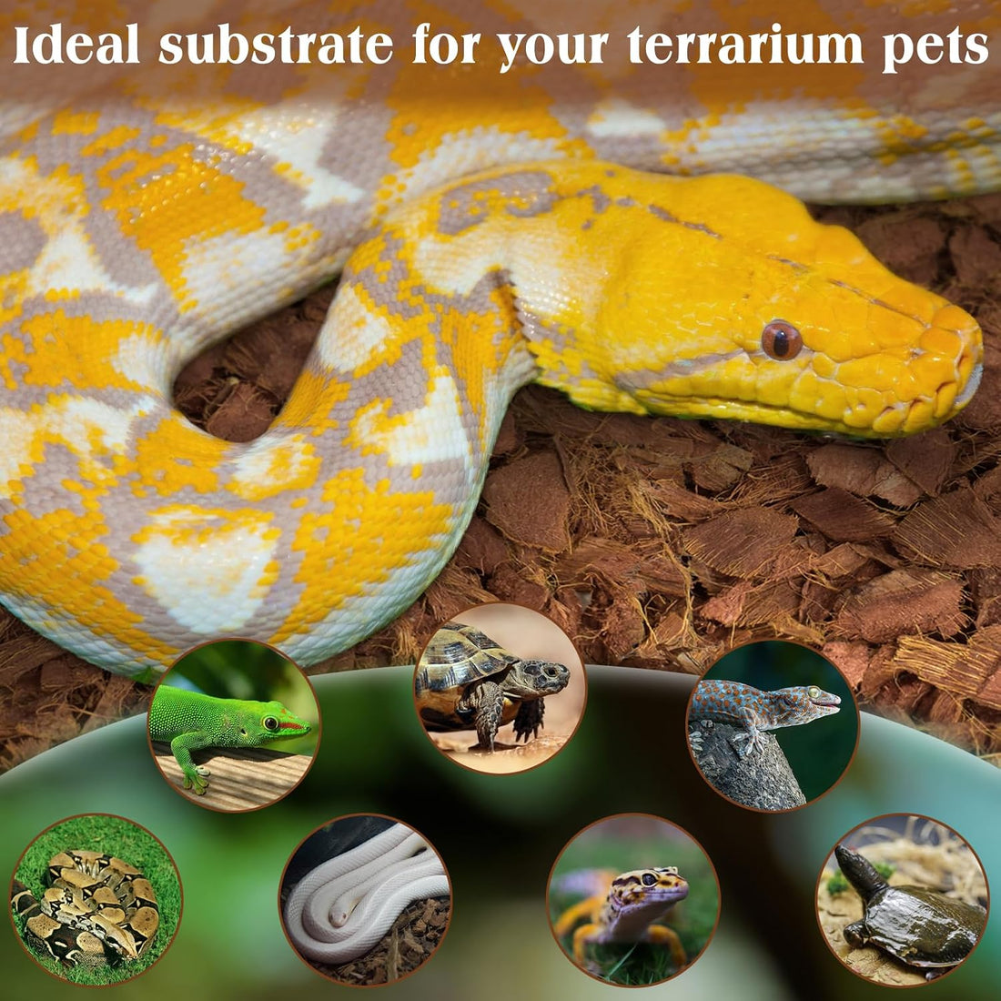 ZeeDix 10LBS Coconut Husk Chip Substrate for Reptiles