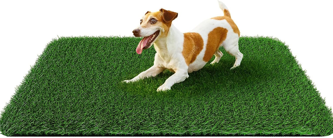 Fake Grass Pad for Dogs Potty Training Artificial Turf, 39.3x31.5in