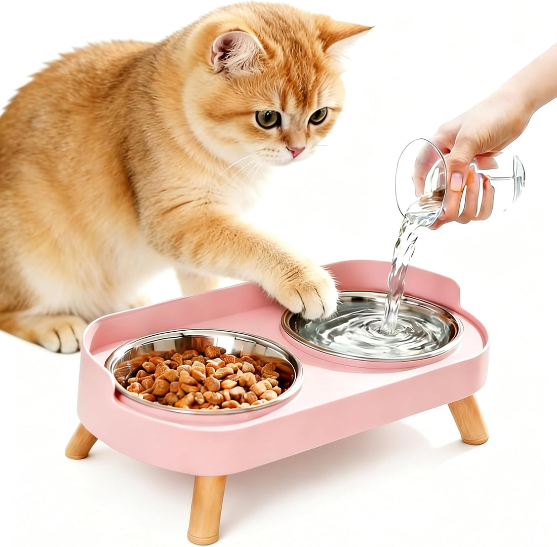 Elevated Cat Bowls, Raised Cats Food and Water Bowl Set for Indoor