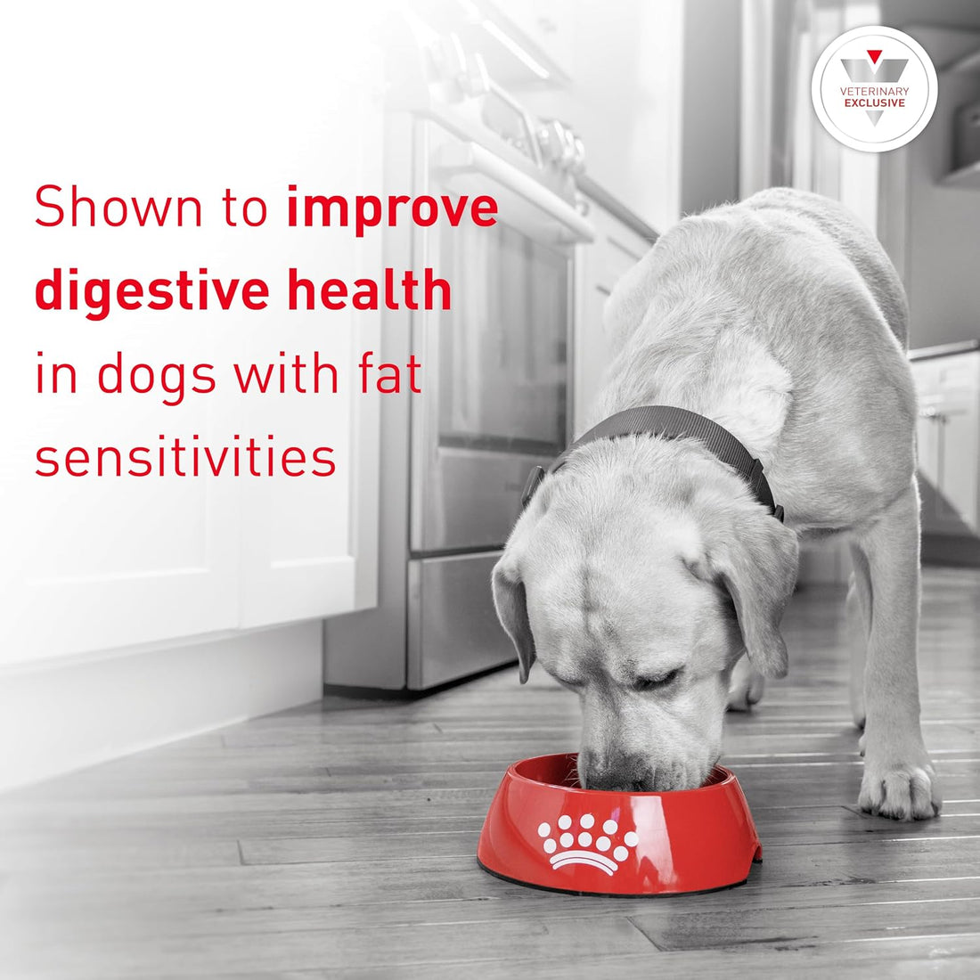 Royal Canin Veterinary Diet Canine Gastrointestinal LF Low Fat - 6.6lb