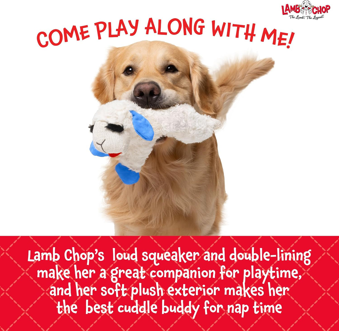 Multipet Lamb Chop Dog Plush Toy - Durable Lining - 10.5" - Blue Paws
