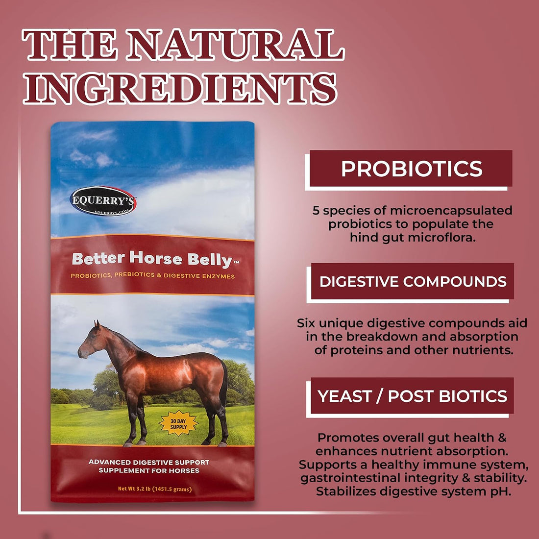 EQUERRY'S Better Horse Belly - Supplement for Horses with Gut Support