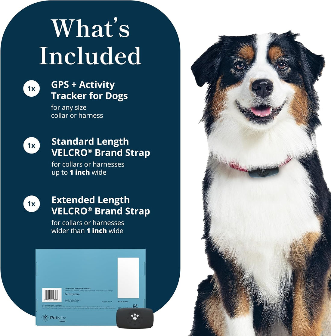Petivity Smart GPS and Activity Dog Tracker Tag