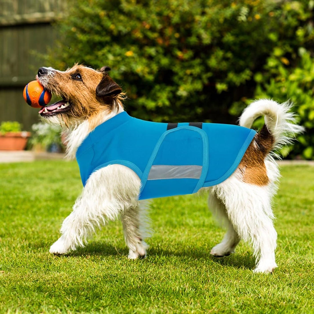 MIGOHI Dog Anxiety Relief Coat, S