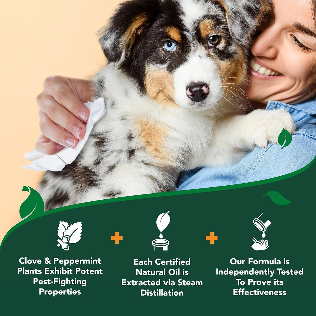 Vet's Best Flea & Tick Wipes for Dogs, Plant-Based, Pest Control