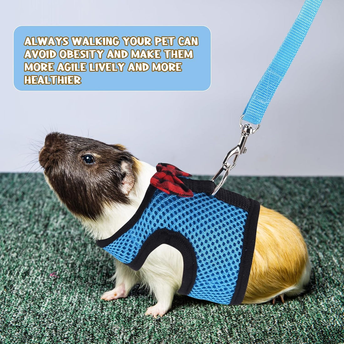 Guinea Pig Harness and Leash Adjustable to Any Size 2 Pack