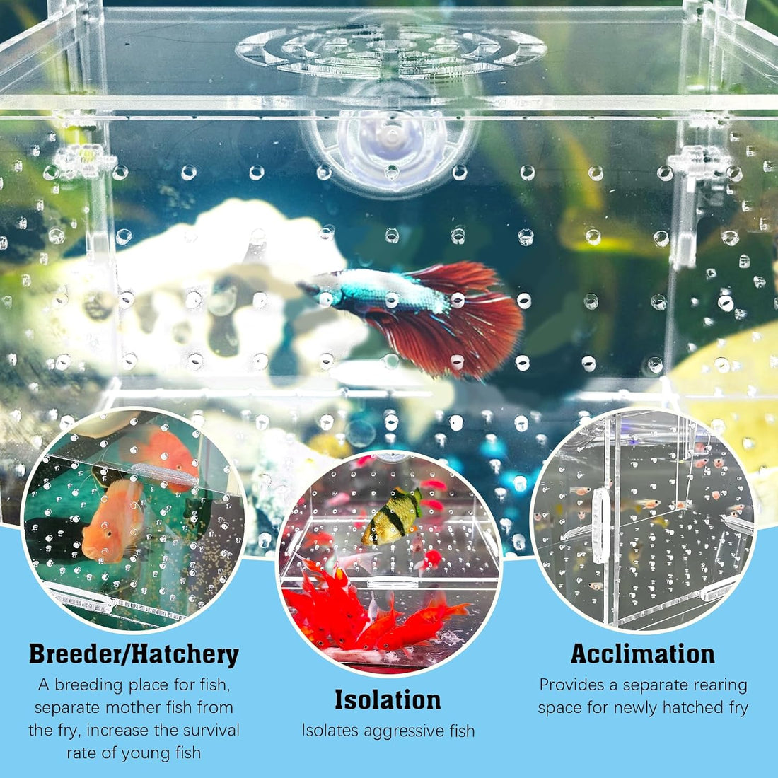 Hamiledyi Acrylic Breeding Isolation Box