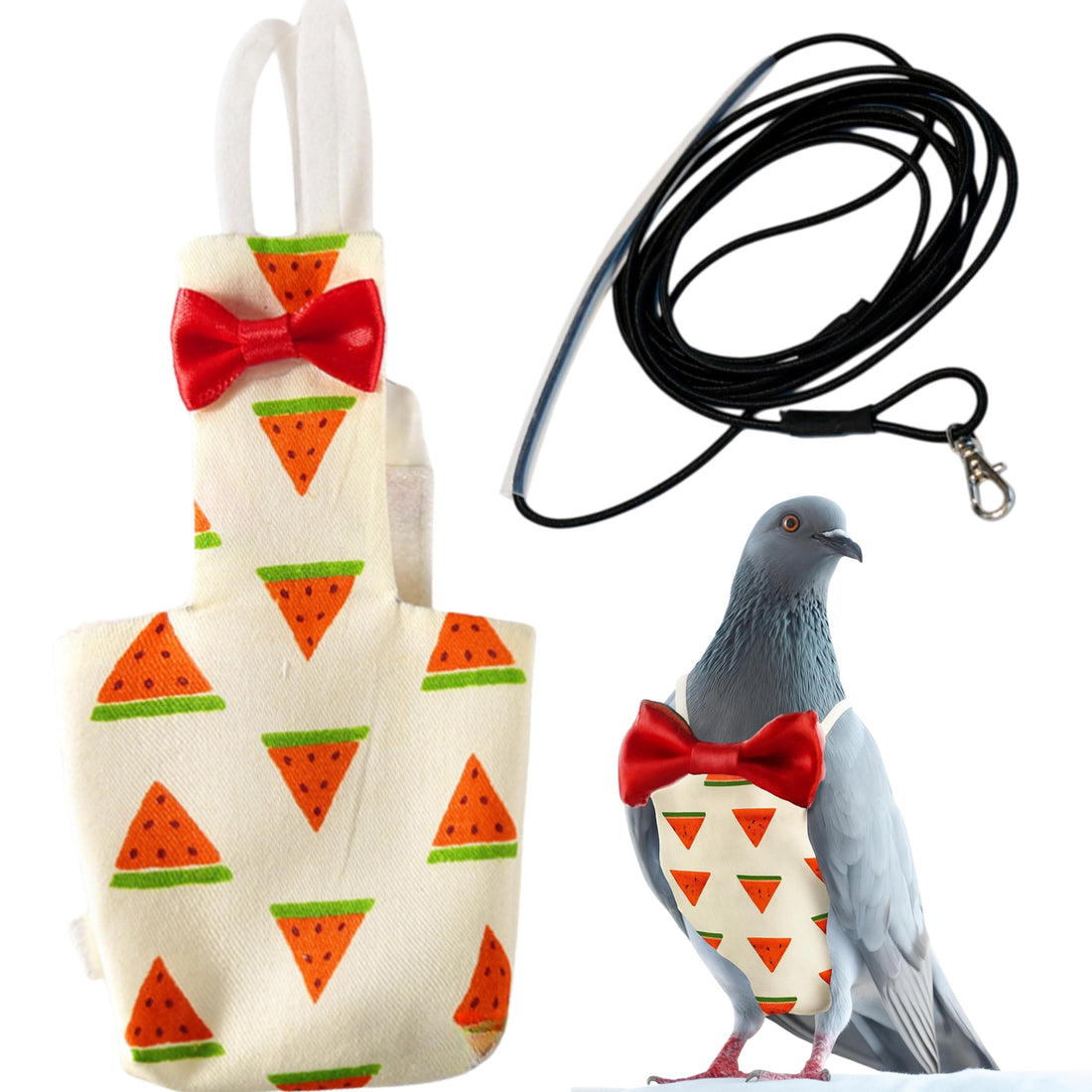 Birds Pigeon Diaper Pants Harness and Leash