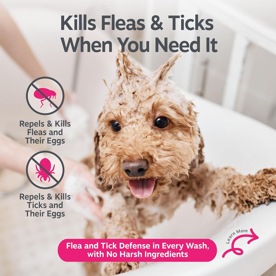 Zesty Paws Flea and Tick Shampoo for Dogs