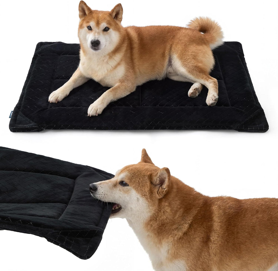 Bedsure Chew Proof Dog Bed for Large Dogs, 35x22 Inch, Black