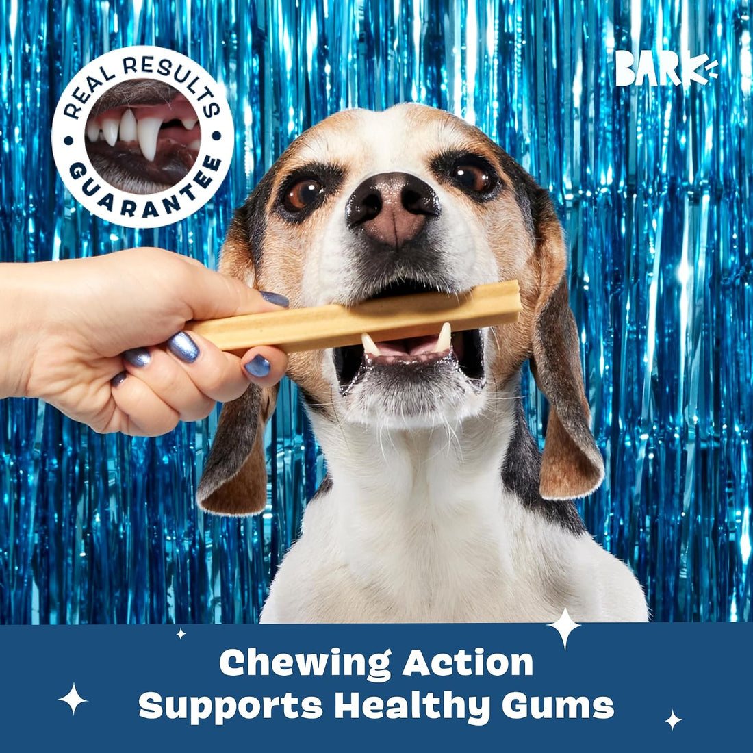 BarkBox Bright Dog Dental Chew Sticks - for Medium Breeds (25-50 lbs)