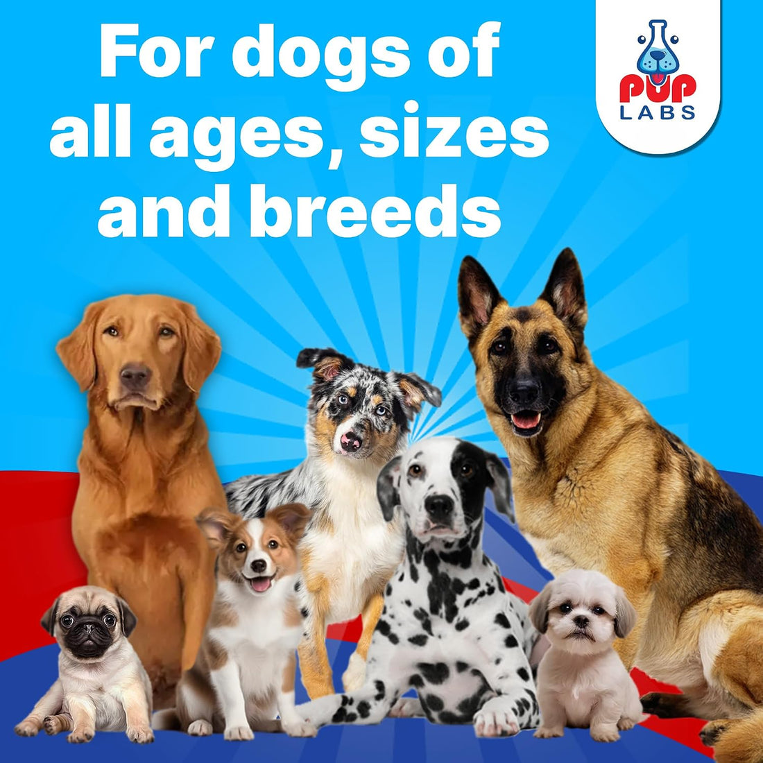 Pup Labs ProDenta & Fresh Breathies Bundle