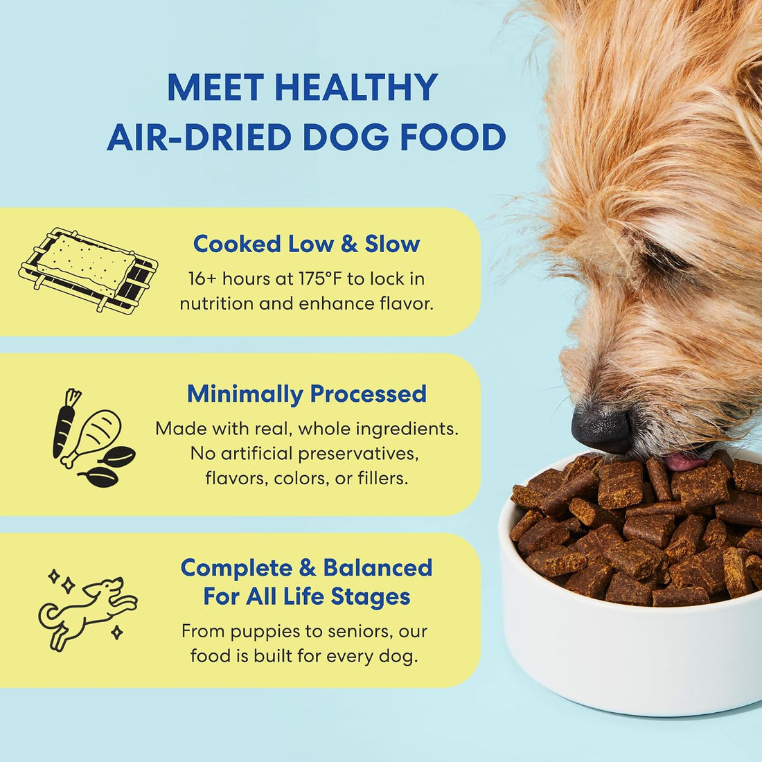 The Pets Table Air Dried Dog Food, Beef & Berries, 1 lb (16 Oz)