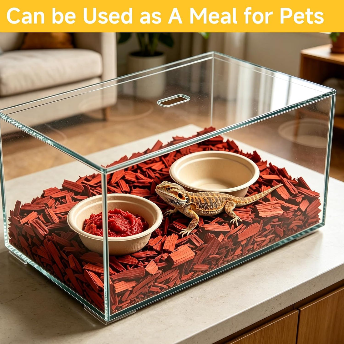 Gecko Feeding Cups, 100-Pack 1 Oz Small Paper Bowls for Crested Gecko