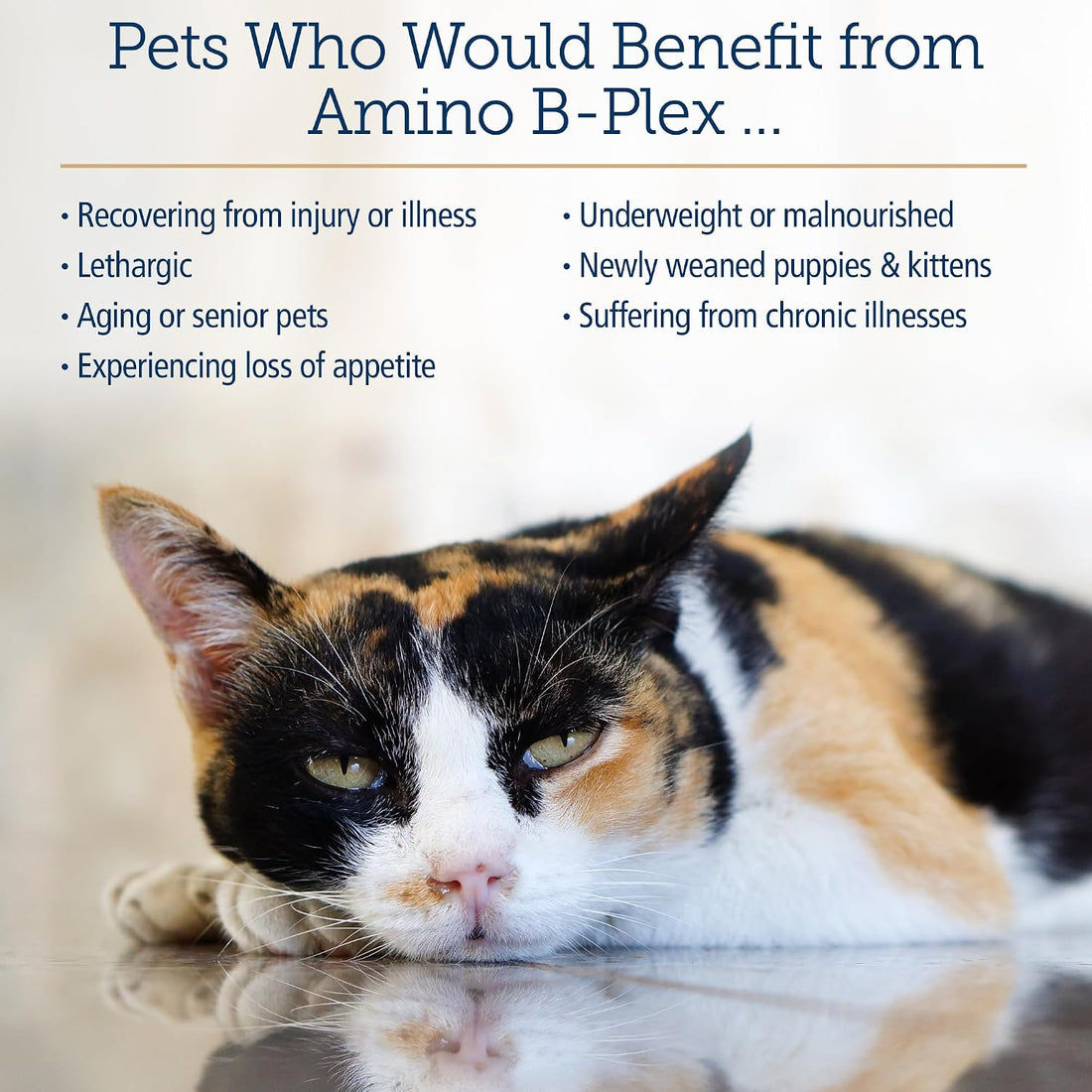 Rx Vitamins Amino B-Plex Cat & Dog Supplement