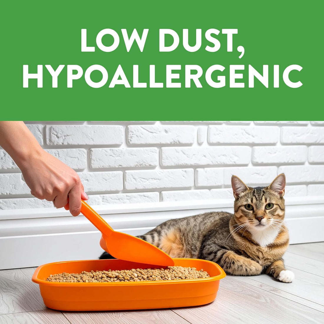 Feline Pine Platinum Non-Clumping Cat Litter