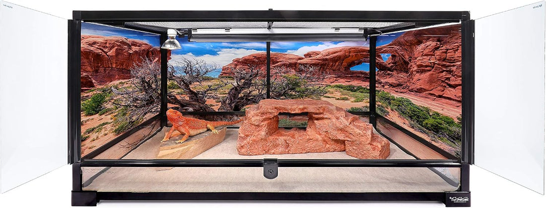 Rock Arch, Reddish Brown, Reptile Habitat Accessory