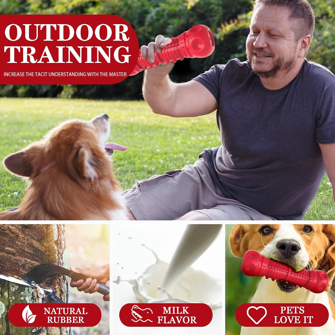 ZIKATON Dog Squeaky Toys for Aggressive Chewers