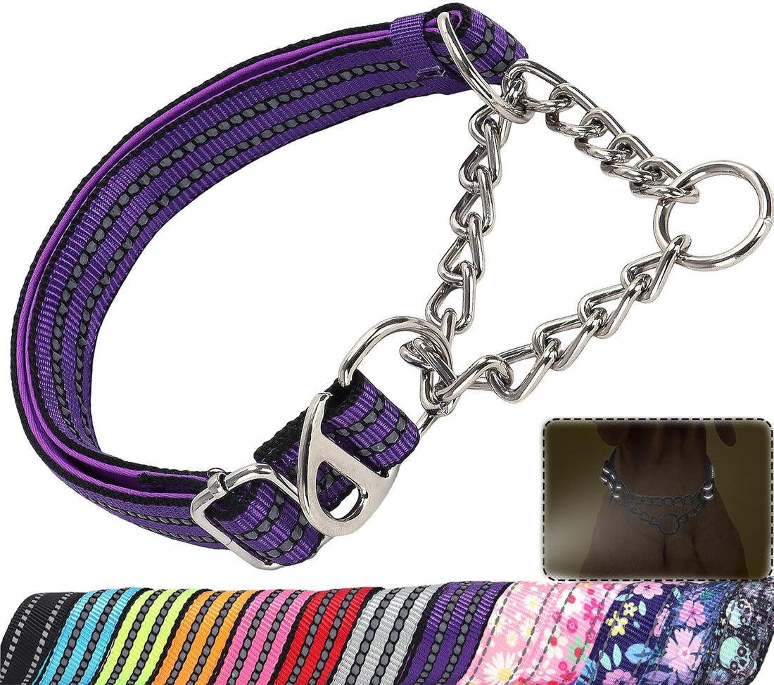 Martingale Collar for Dogs with Chain,Heavy Duty Dog Collar