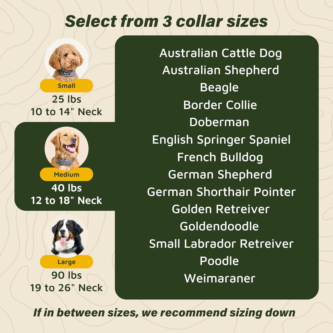 SpotOn Omni GPS Dog Fence Collar, Medium Dogs 12-18 Inch Neck