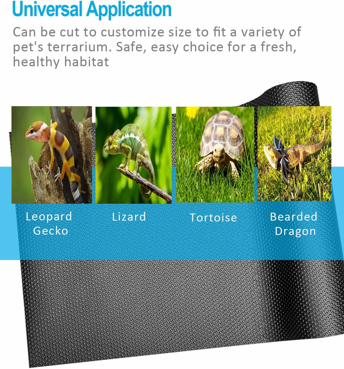 Bearded Dragon Tank Accessories