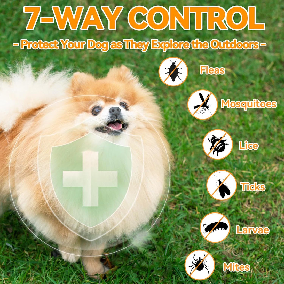 Carmelie Flea and Tick Prevention for Dogs Chewables 200 Ct