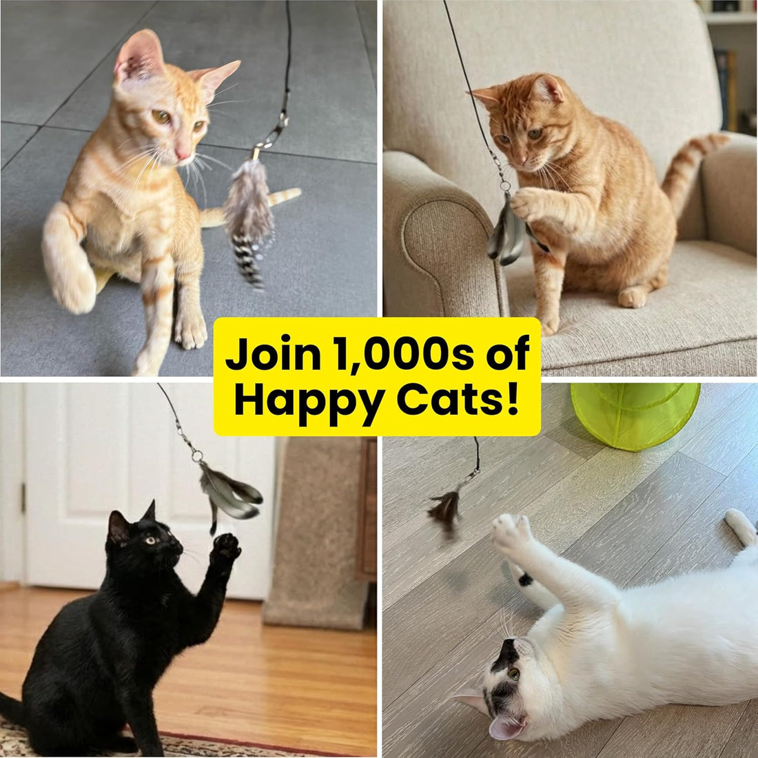 Forever Stick Refill 9-Pack, Feather Cat Wand Toy Attachment