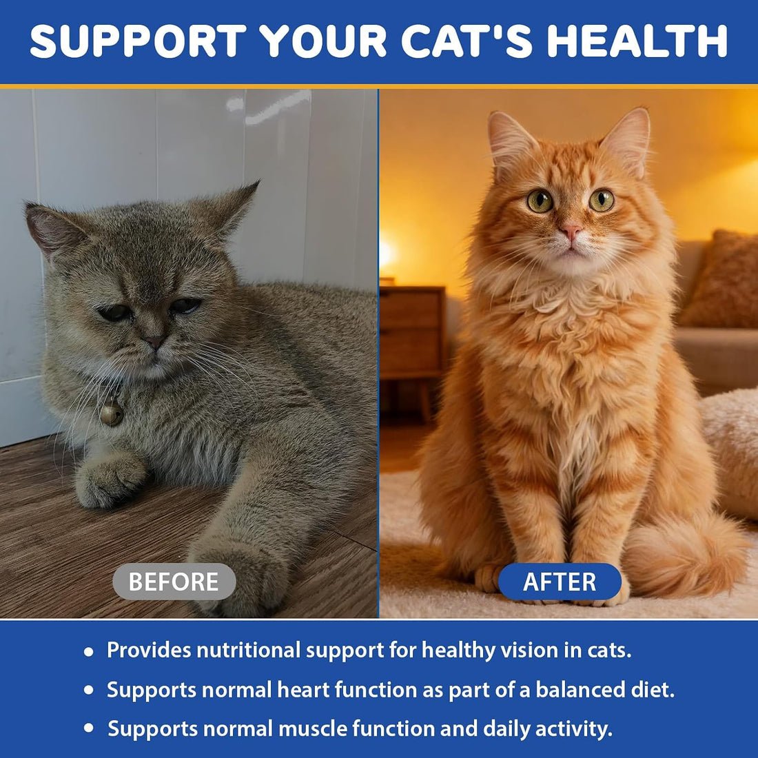 Taurine Drops for Cats for Eyesight, Heart, Muscle & Immune Support