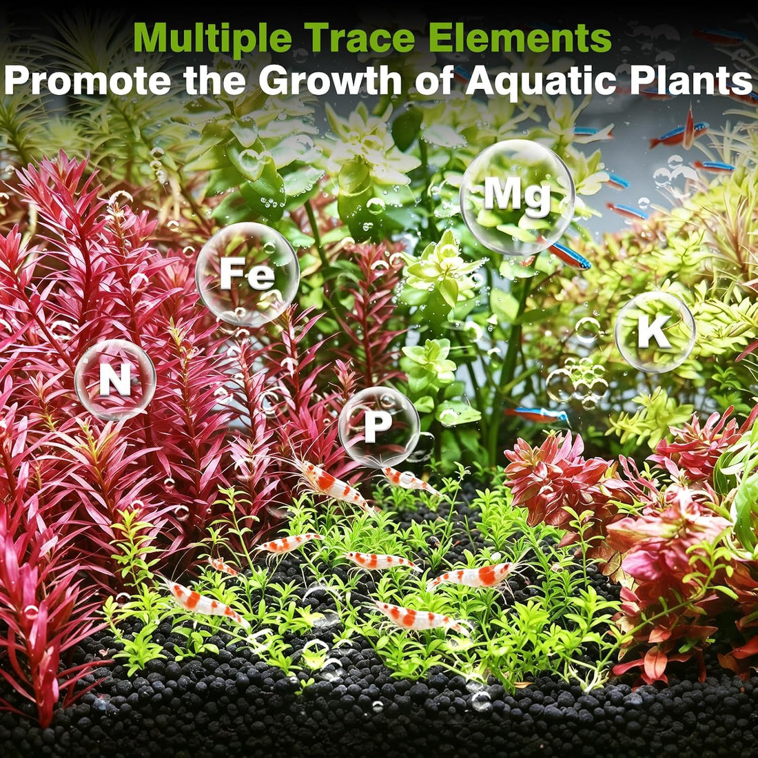 Premium Upgraded Aquarium Soil