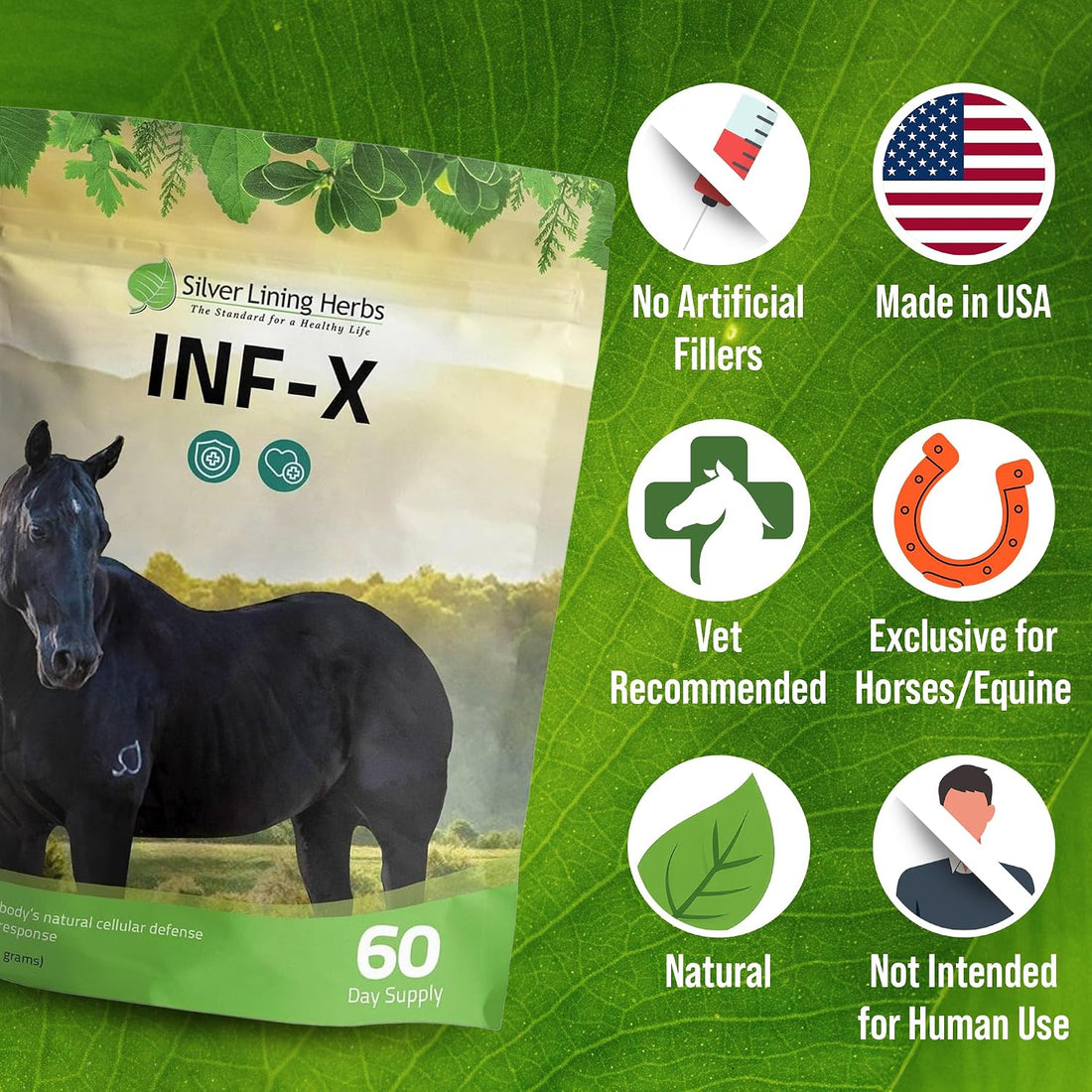 Silver Lining Herbs INF-X Horse Immune Booster Supplement - 1 lb
