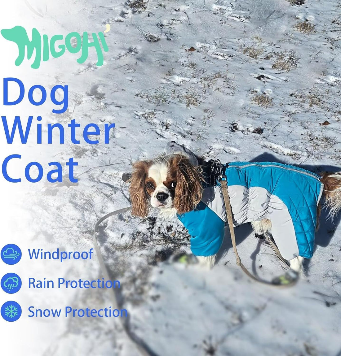 MIGOHI Full Body Dog Coat，Warm Coats for Small Medium Dogs, M