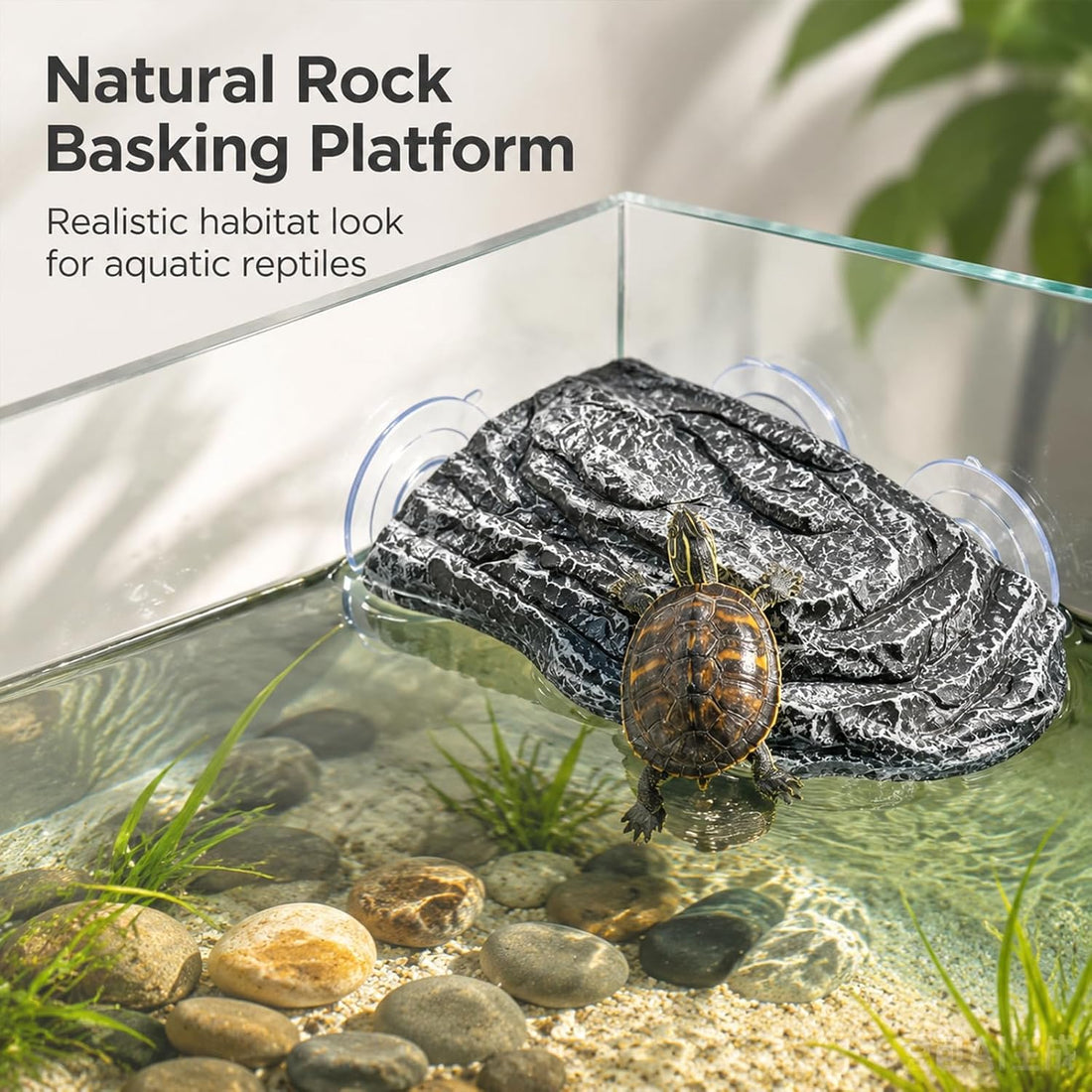 Turtle Basking Platform with Suction Cups