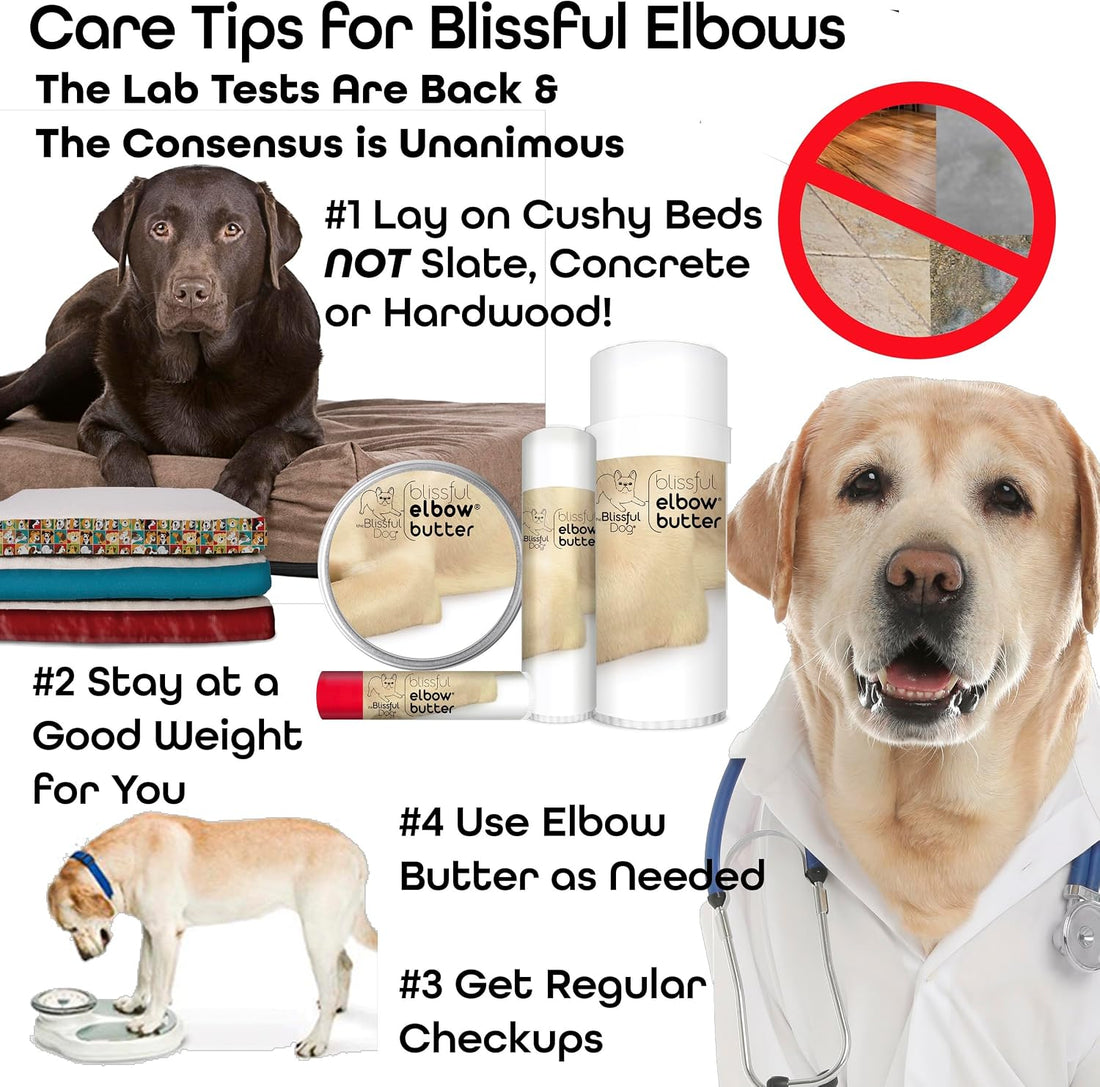 The Blissful Dog Elbow Butter for Dry, Cracked Calluses