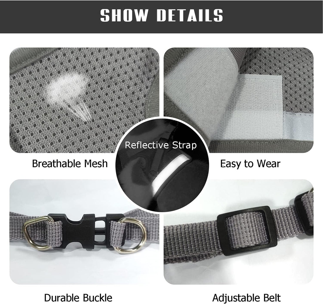 FEimaX Dog Harness and Leash Set for Walking