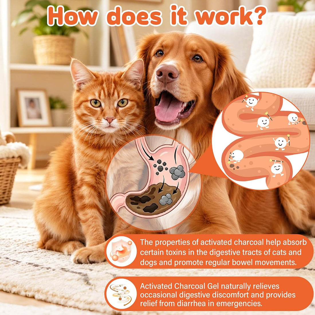 Activated Charcoal Paste for Dogs & Cats