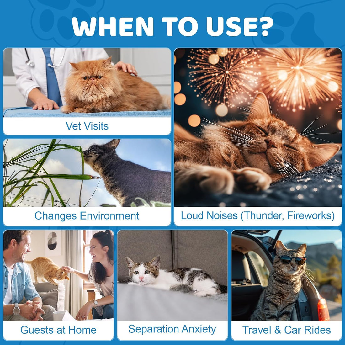 Calming Cat Treats - 500 Chews for Stress & Anxiety Support