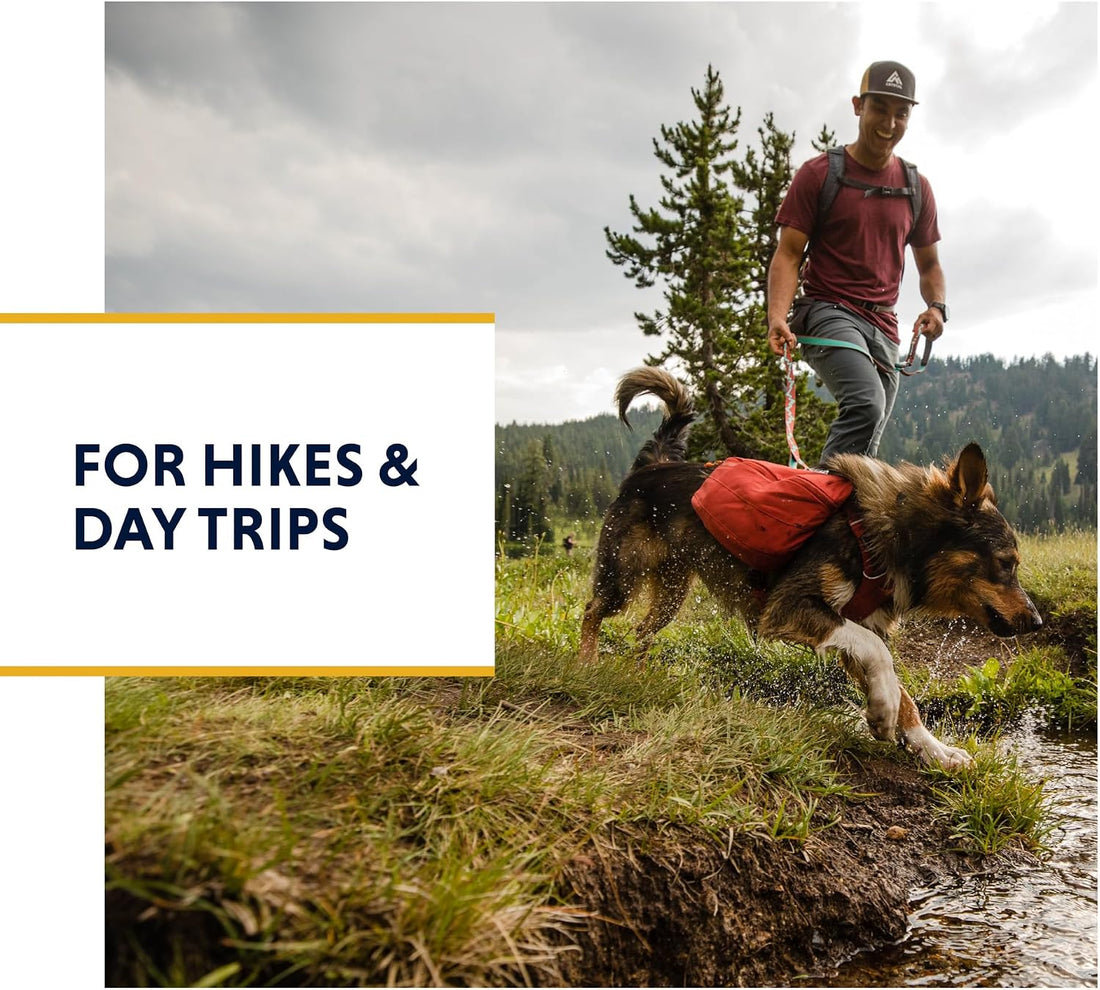 Ruffwear, Front Range Day Pack, Dog Backpack with Saddlebags