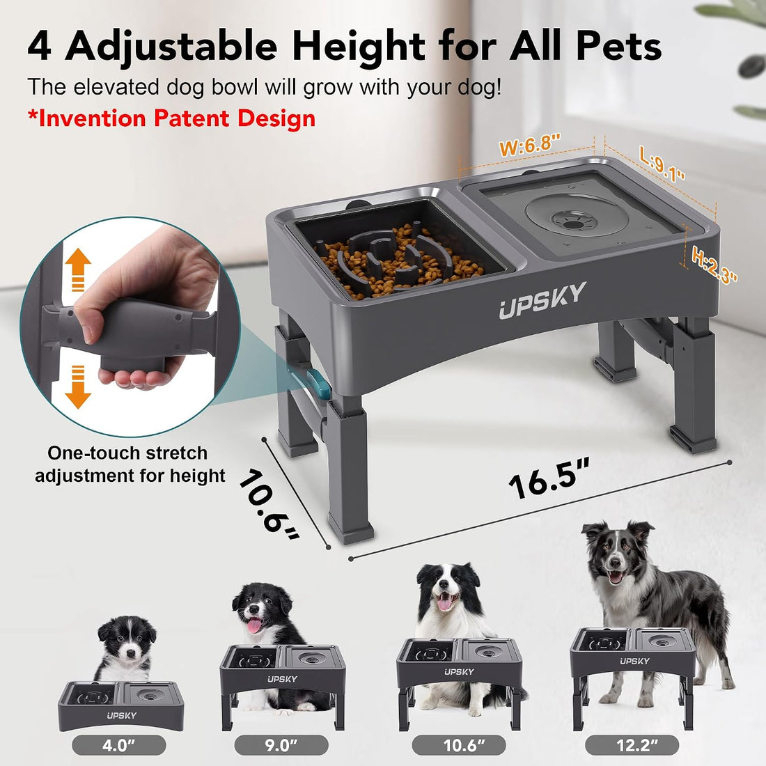 UPSKY 2-in-1 Elevated Dog Bowls Slow Feeder